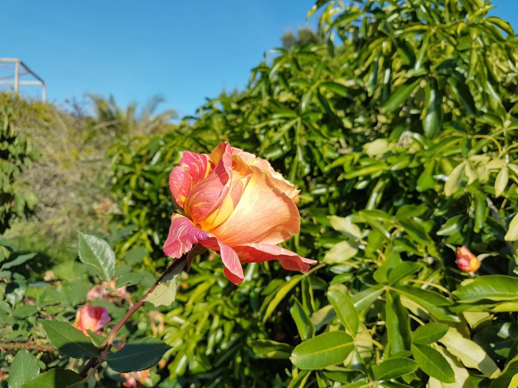 Casas Tipicas Algarvias Βίλα Arroteia de Baixo Εξωτερικό φωτογραφία